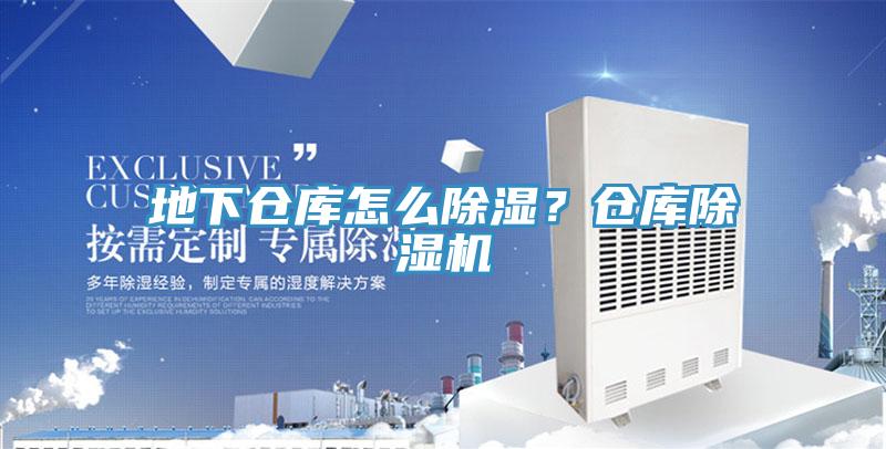 地下倉庫怎麽除濕？倉庫91看片网站