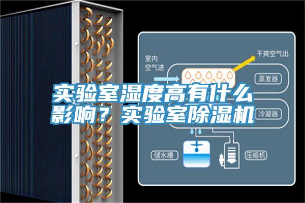 實驗室濕度高有什麽影響？實驗室91看片网站
