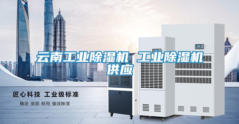 雲南工業91看片网站 工業91看片网站供應
