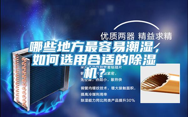 哪些地方最容易潮濕，如何選用合適的91看片网站？