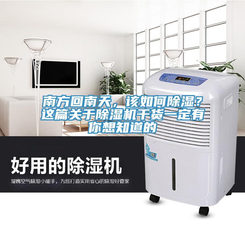 南方回南天，該如何除濕？這篇關於91看片网站幹貨一定有你想知道的