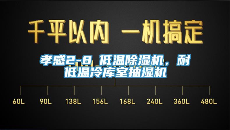 孝感2-8℃低溫91看片网站，耐低溫冷庫室抽濕機