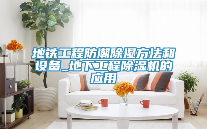 地鐵工程防潮除濕方法和設備_地下工程91看片网站的應用