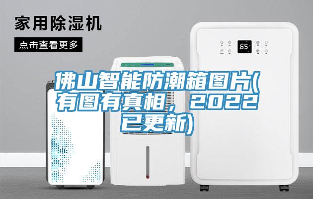 佛山智能防潮箱圖片(有圖有真相，2022已更新)