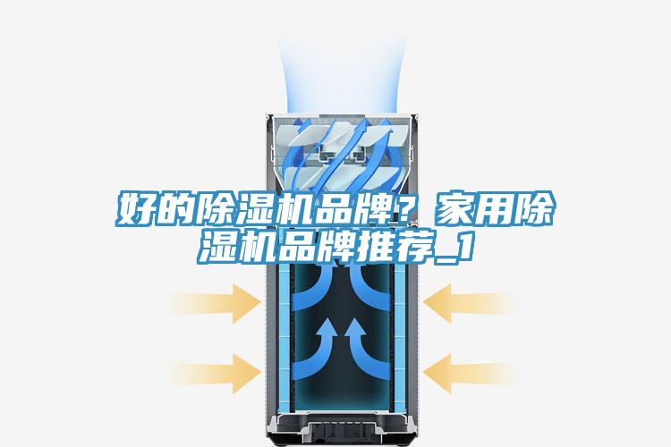 好的91看片网站品牌？家用91看片网站品牌推薦_1