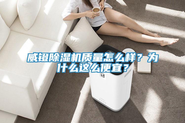 威鐙91看片网站質量怎麽樣？為什麽這麽便宜？