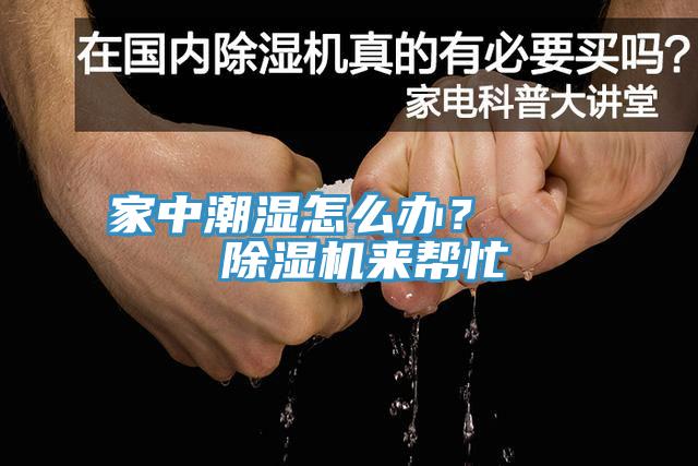 家中潮濕怎麽辦？    91看片网站來幫忙