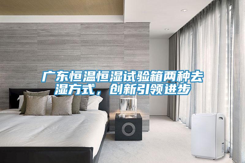 廣東恒溫恒濕試驗箱兩種去濕方式，創新引領進步