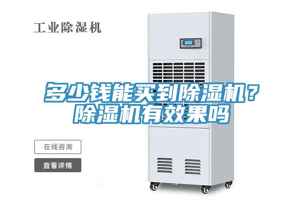 多少錢能買到91看片网站？91看片网站有效果嗎