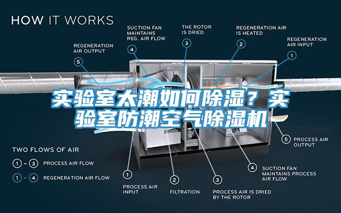 實驗室太潮如何除濕？實驗室防潮空氣91看片网站