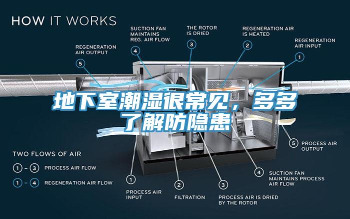 地下室潮濕很常見，多多了解防隱患