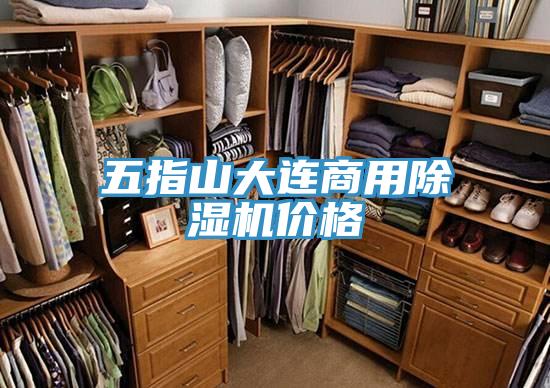 五指山大連商用91看片网站價格