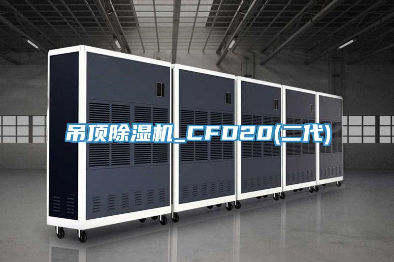 吊頂91看片网站_CFD20(二代)
