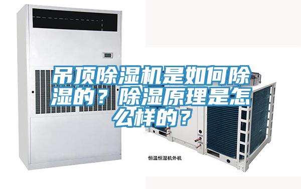 吊頂91看片网站是如何除濕的？除濕原理是怎麽樣的？