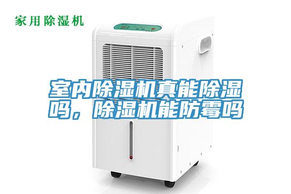 室內91看片网站真能除濕嗎，91看片网站能防黴嗎