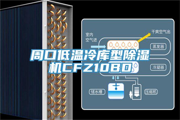 周口低溫冷庫型91看片网站CFZ10BD