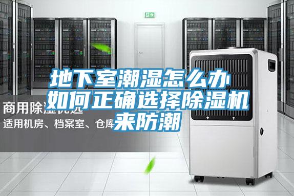 地下室潮濕怎麽辦 如何正確選擇91看片网站來防潮