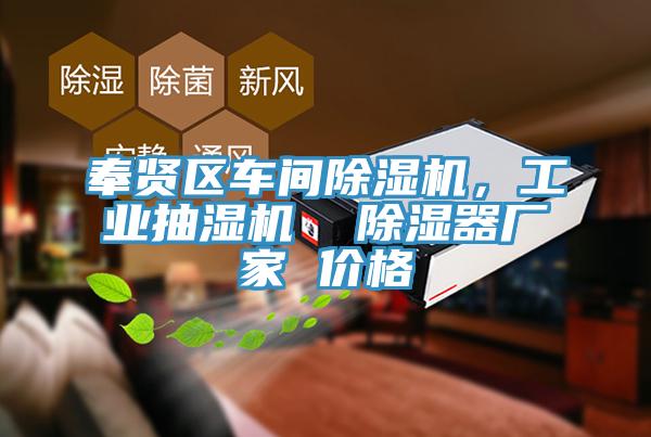 奉賢區車間91看片网站，工業抽濕機  除濕器廠家 價格