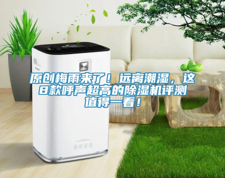 原創梅雨來了！遠離潮濕，這8款呼聲超高的91看片网站評測值得一看！