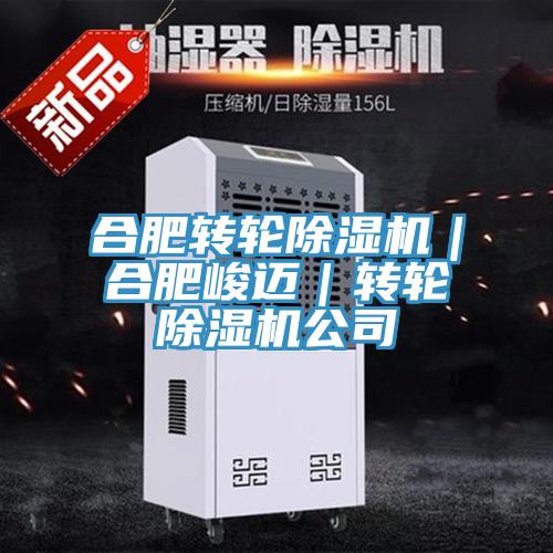 合肥轉輪91看片网站｜合肥峻邁｜轉輪91看片网站公司