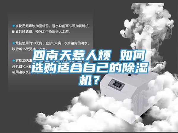 回南天惹人煩 如何選購適合自己的91看片网站？