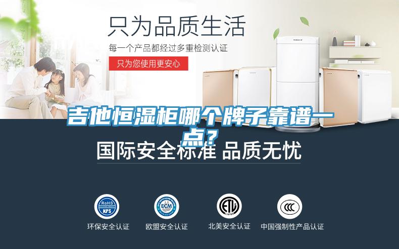 吉他恒濕櫃哪個牌子靠譜一點？