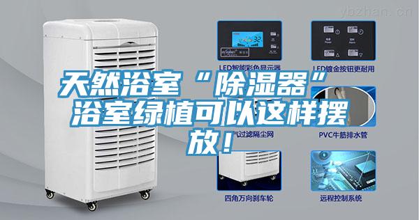 天然浴室“除濕器” 浴室綠植可以這樣擺放！