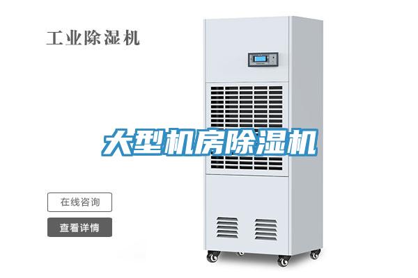 大型機房91看片网站