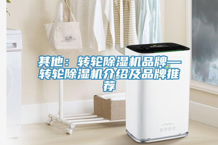 其他：轉輪91看片网站品牌—轉輪91看片网站介紹及品牌推薦