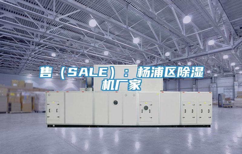售（SALE）：楊浦區91看片网站廠家
