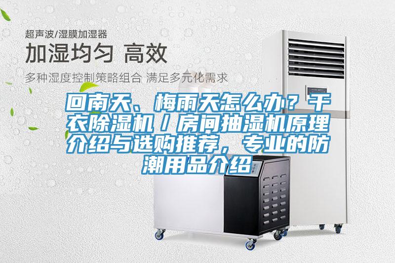 回南天、梅雨天怎麽辦？幹衣91看片网站／房間抽濕機原理介紹與選購推薦，專業的防潮用品介紹