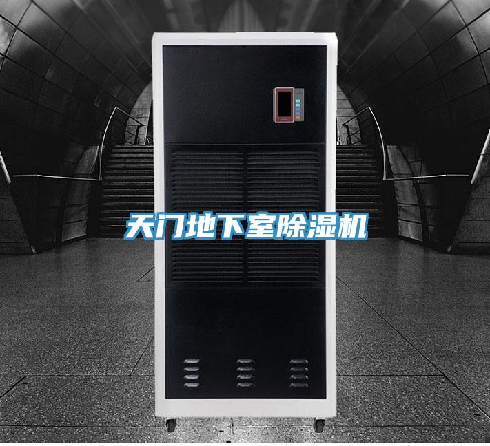 天門地下室91看片网站