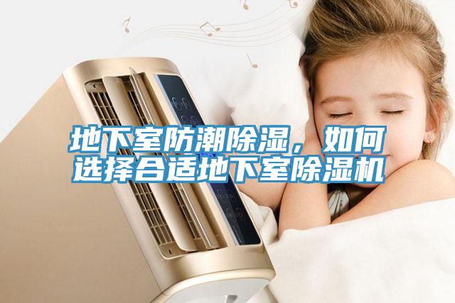 地下室防潮除濕，如何選擇合適地下室91看片网站