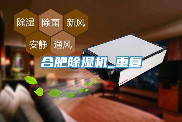 合肥91看片网站_重複