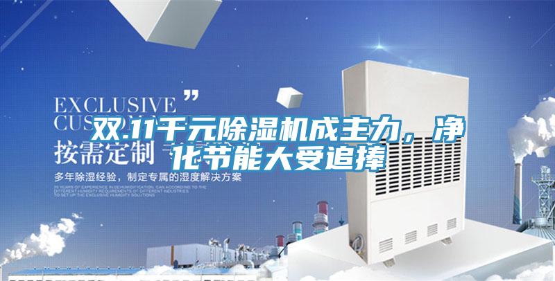 雙.11千元91看片网站成主力，淨化節能大受追捧