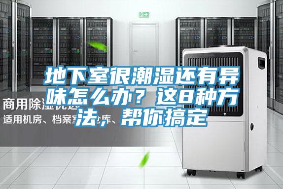 地下室很潮濕還有異味怎麽辦？這8種方法，幫你搞定