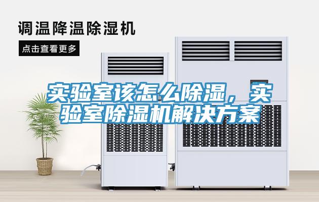 實驗室該怎麽除濕，實驗室91看片网站解決方案