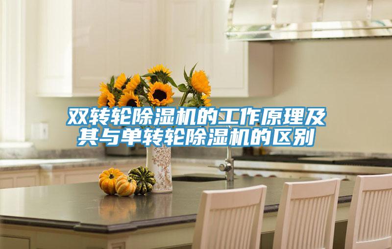 雙轉輪91看片网站的工作原理及其與單轉輪91看片网站的區別