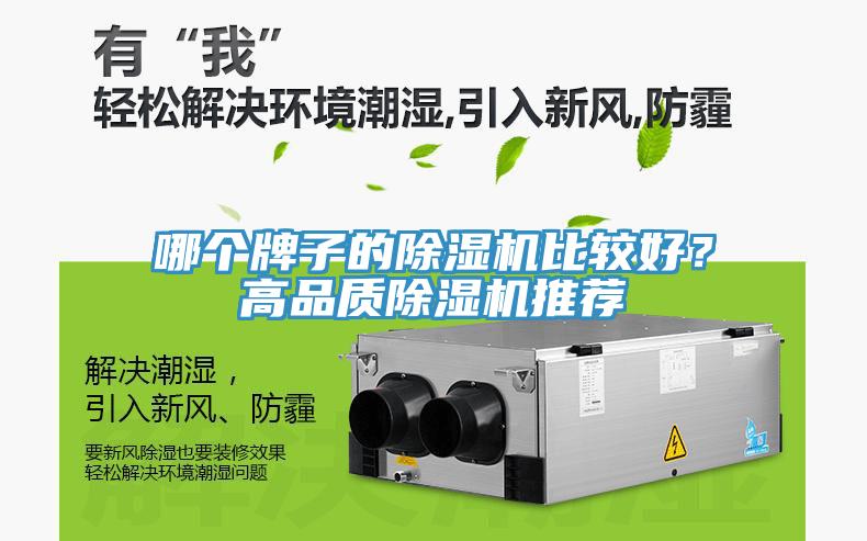 哪個牌子的91看片网站比較好？高品質91看片网站推薦