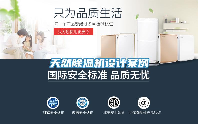 天然91看片网站設計案例