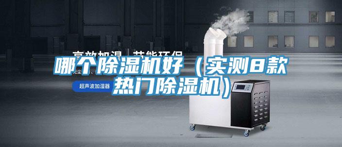 哪個91看片网站好（實測8款熱門91看片网站）
