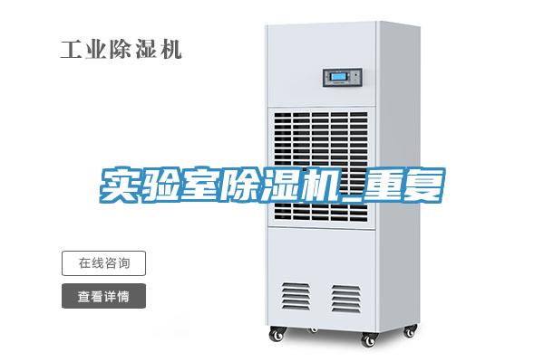 實驗室91看片网站_重複