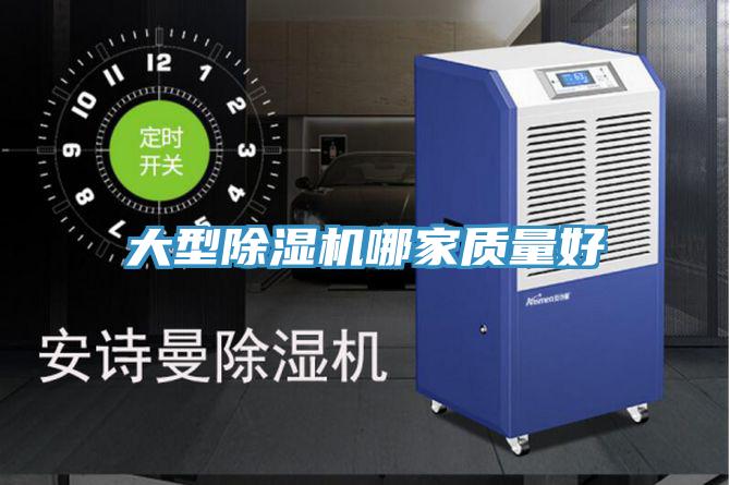 大型91看片网站哪家質量好