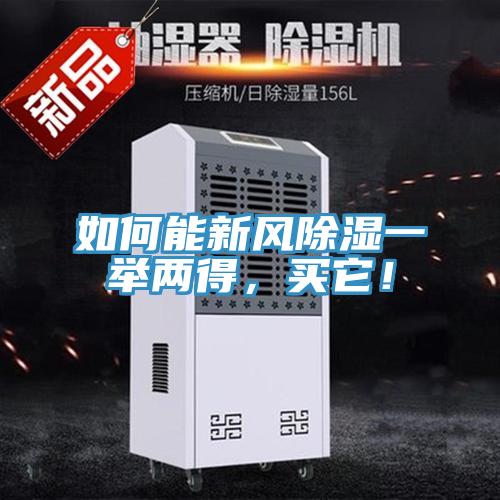 如何能新風除濕一舉兩得，買它！