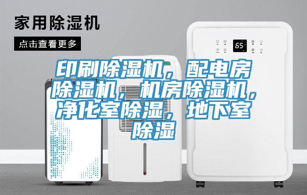 印刷91看片网站，配電房91看片网站，機房91看片网站，淨化室除濕，地下室除濕