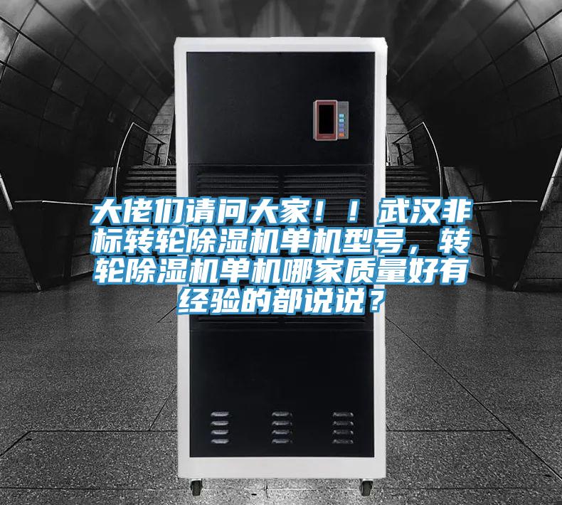 大佬們請問大家！！武漢非標轉輪91看片网站單機型號，轉輪91看片网站單機哪家質量好有經驗的都說說？