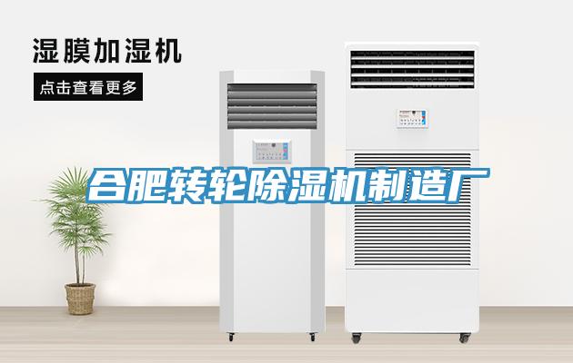 合肥轉輪91看片网站製造廠