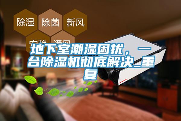 地下室潮濕困擾，一台91看片网站徹底解決_重複