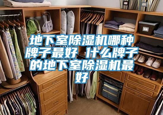地下室91看片网站哪種牌子最好 什麽牌子的地下室91看片网站最好