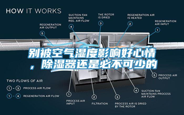 別被空氣濕度影響好心情，除濕器還是必不可少的